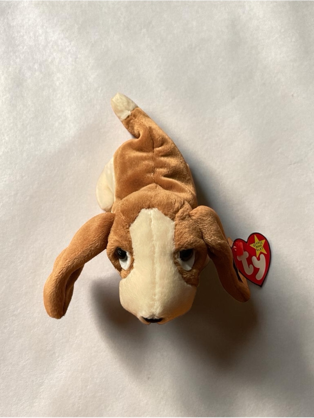 Ty Beanie Baby Tracker The Basset Hound Dog Vtg 1997 Retired Plushy Rare W Tag